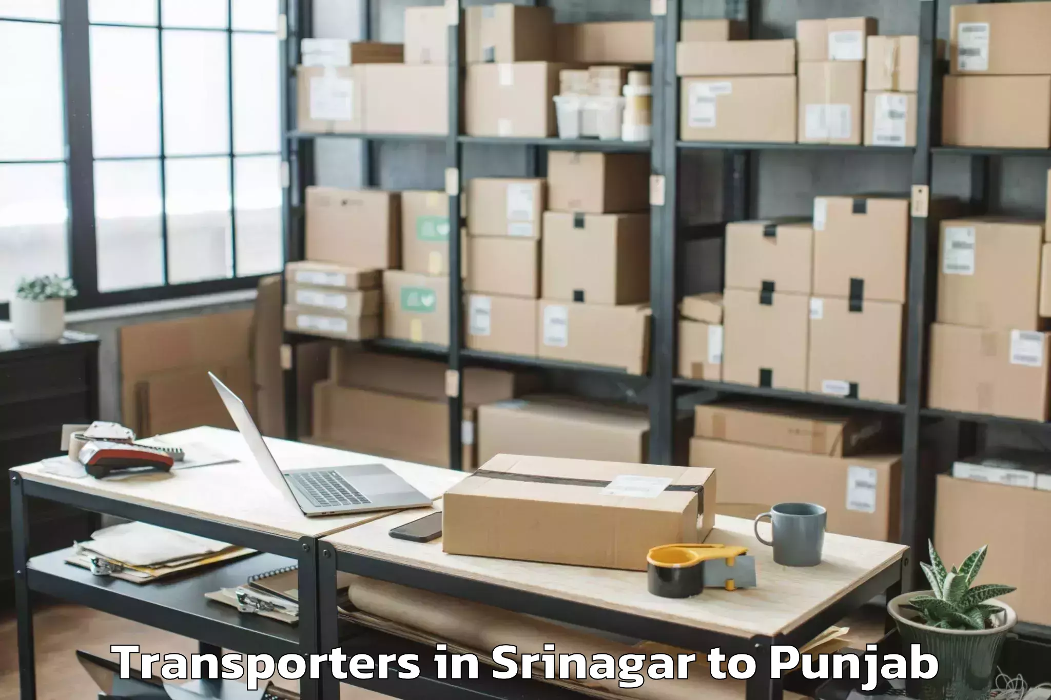 Expert Srinagar to Punjab Transporters